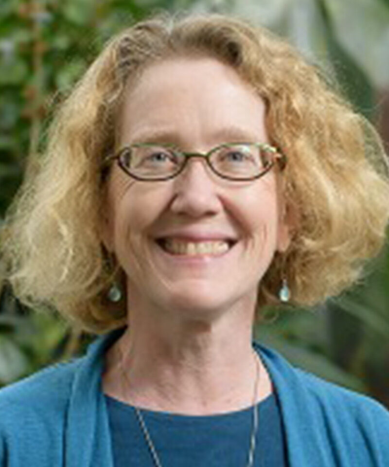 Jane Dawson