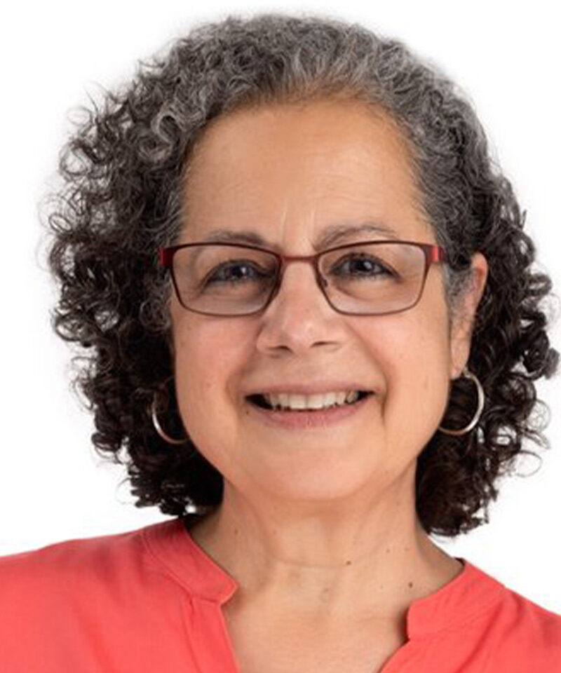 Mona N. Younis
