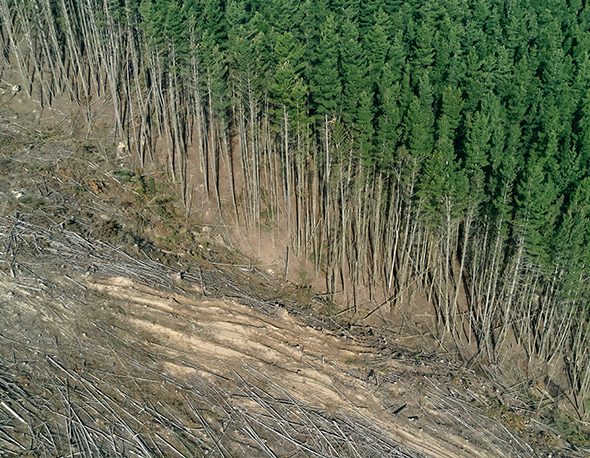 Deforestation in Victoria, Australia