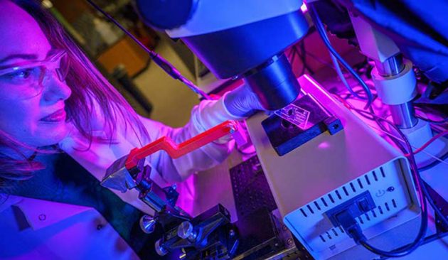 A new AI deep-learning model, entitled COMPOSER, was deployed in emergency departments at UC San Diego Health to quickly predict sepsis infection in high-risk patients.