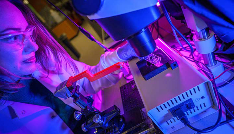 A new AI deep-learning model, entitled COMPOSER, was deployed in emergency departments at UC San Diego Health to quickly predict sepsis infection in high-risk patients.